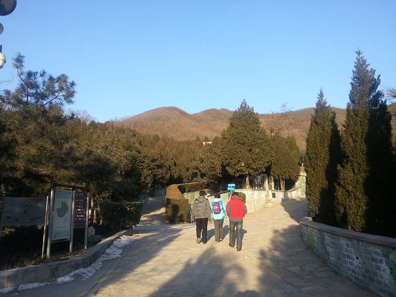园区大道